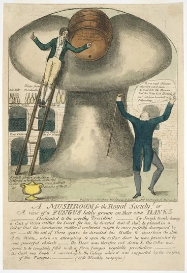 Image: Artist unknown :A mushroom for the Royal Society! Or a view of a fungus recently grown on their own BANKS... London, Published by L Sidebotham, March 1819.