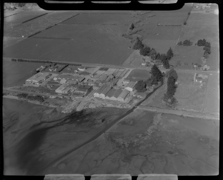 Image: Freezing Works, Nelson