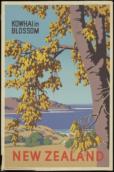Image: [New Zealand Government Tourist Department] :New Zealand. Kowhai in blossom. [ca 1957]