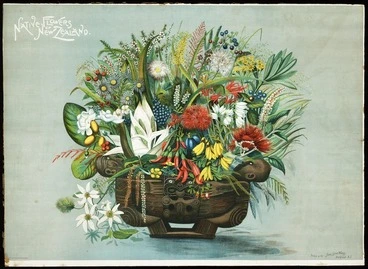 Image: Huddlestone, William :Native flowers of New Zealand. W. Schmidt litho. Auckland, New Zealand graphic, 1899
