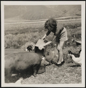 Image: Girl feeding pigs