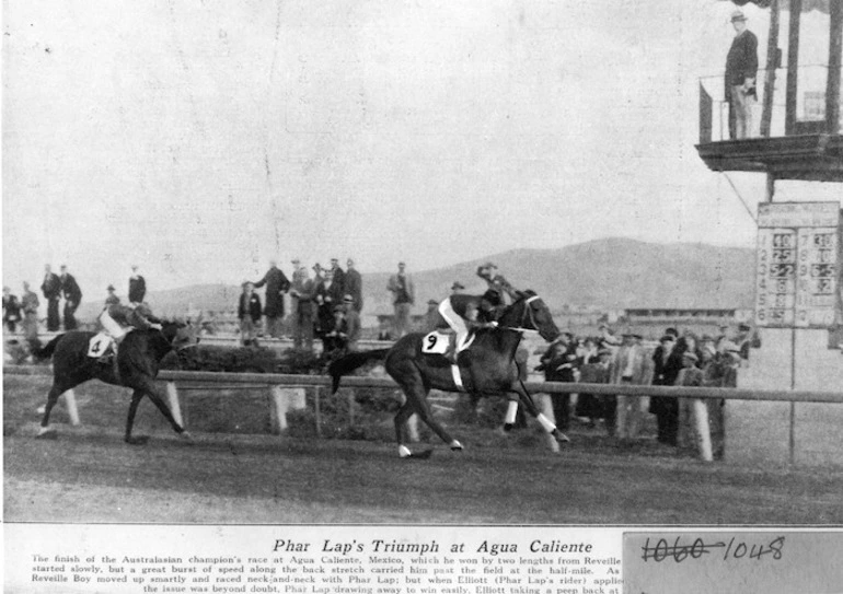 Image: Phar Lap's triumph at Agua Caliente, winning his last race