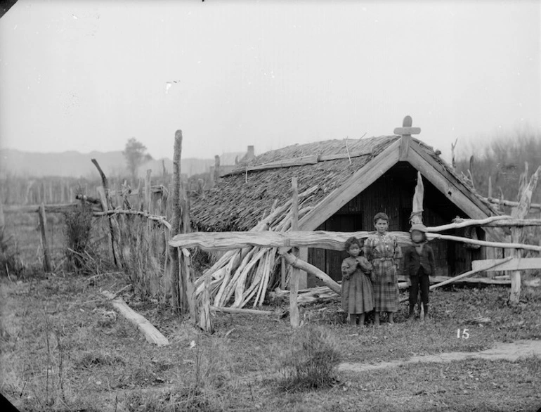 Image: Putiki Pa, Wanganui