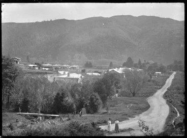 Image: View of Whiteman's Valley Road, 1921.