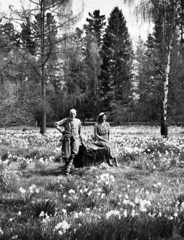 Image: Weigel, George, 1890-1980 : Marmaduke Bethell and Thyra Melvase Bethell, in a field of daffodils, at Pahau Pastures in Culverden