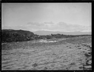 Image: Tongariro River, Waikato