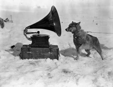 Image: Dog Chris, listening to the gramophone, Antarctica