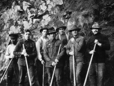 Image: Guards working party, Somes Island