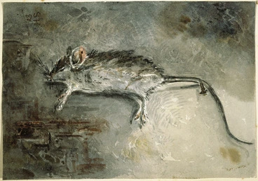 Image: Hodgkins, Isabel Jane, 1867-1950 :[Dead mouse. 1880]