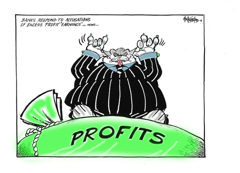 Image: Hubbard, James, 1949- :Banks respond to accusations of excess profit 'earnings' - News. 12 December 2012