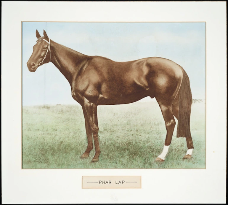 Image: Artist unknown :Phar Lap. [1931]