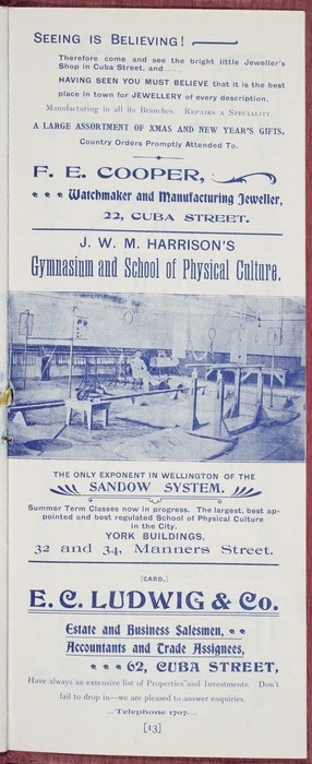 Image: F E Cooper, watchmaker and manufacturing jeweller; ...J W M Harrison's Gymnasium and School of Physical Culture; the only exponent in Wellington of the Sandow system ... York Buildings, 32 and 34 Manners Street ... E C Ludwig & Co, estate and business salesman [1902]