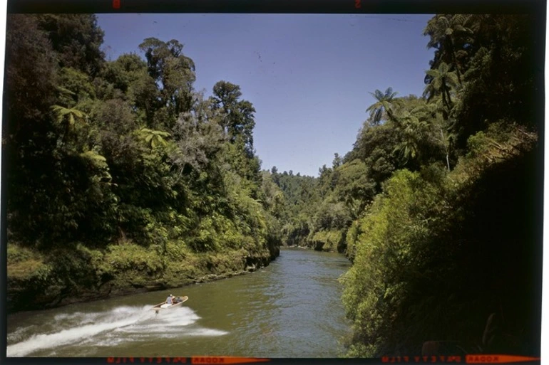 Image: Jet boat on Whanganui River