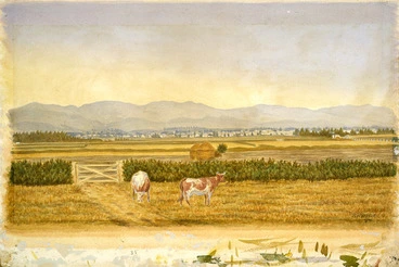 Image: Harrison, Roger, fl 1894 :Hutt Valley [18]94.