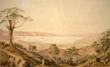Image: [Barraud, Charles Decimus] 1822-1897 :[View of Wellington] N.Z., 1861