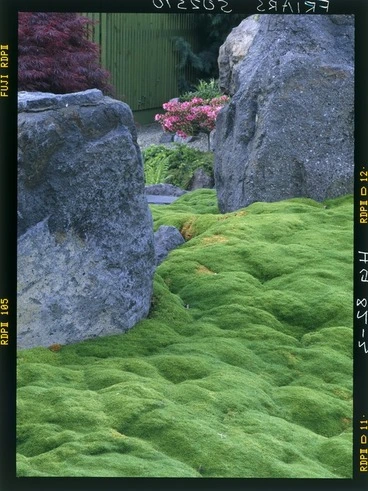 Image: View of `Shigeki Gardens,' Christchurch