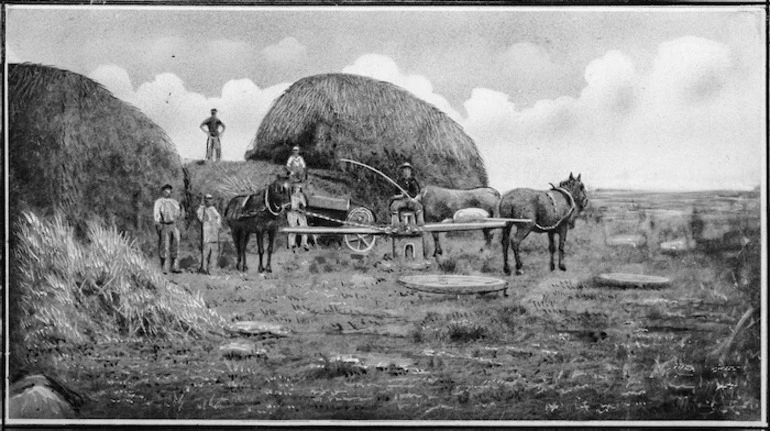 Image: A threshing machine at Temuka