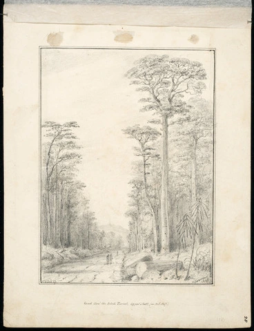 Image: Swainson, William, 1789-1855 :Road thro' the Birch Forest, Upper Hutt (in Oct 1847. 28 Oct '47 / W Swainson, 1848.