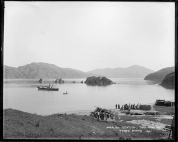 Image: Te Awaiti Bay, Tory Channel, with whaling station
