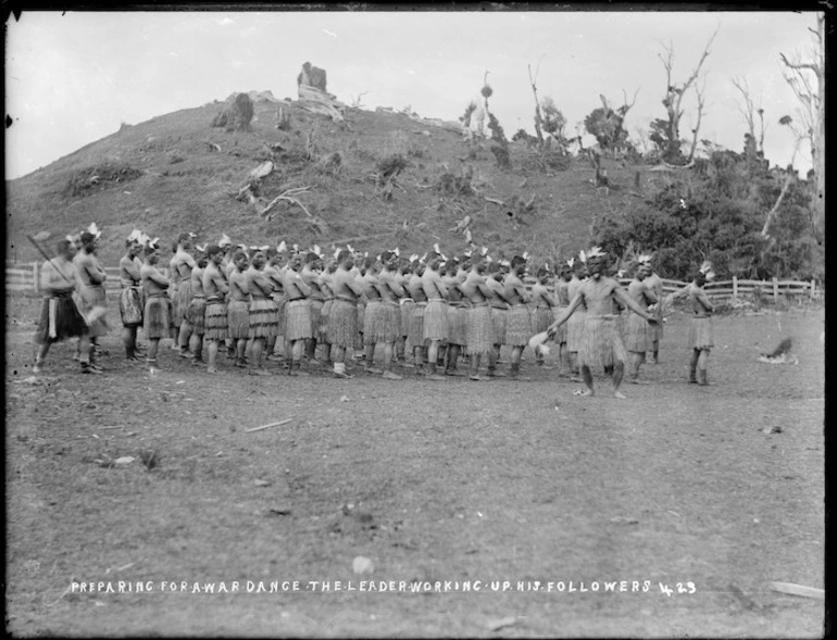 Image: Group about to perform a haka at Parihaka