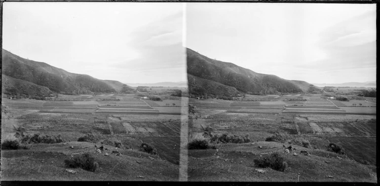 Image: Waiwhetu, Lower Hutt