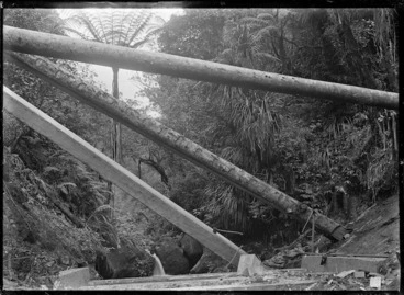 Image: Large pieces of timber on the construction site of a dam on the Anawhata Stream.