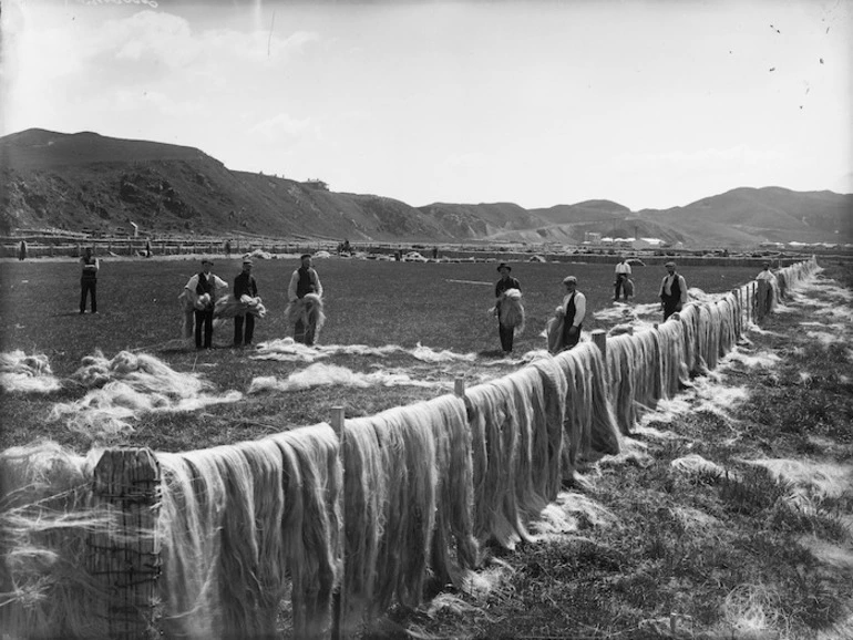 Image: Hemp drying at Miramar