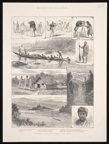 Image: Artist unknown :Photographs in the "King Country" of New Zealand. The Illustrated London news, Sept. 3, 1887 - [page] 275