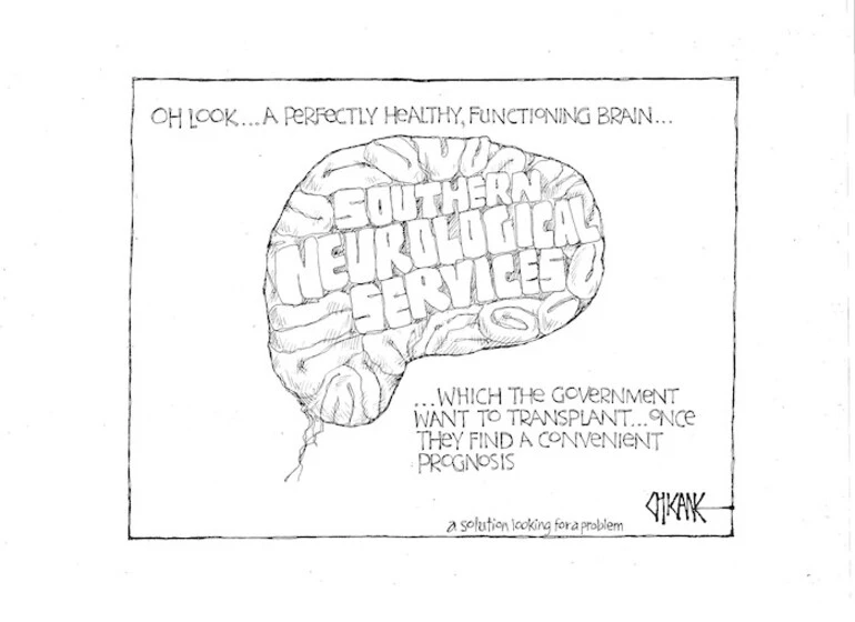 Image: Oh look ... a perfectly healthy, functioning brain... which the government want to transplant... once they find a convenient prognosis. A solution looking for a problem. 11 August 2010