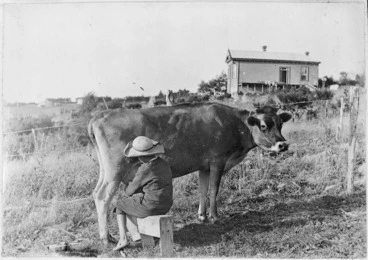 Image: Woman milking a cow at Birkdale, near Auckland, 1910