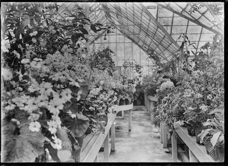 Image: Winter glass-house at the public gardens in Invercargill, 1926