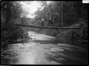 Image: Man and woman standing on a log bridge across Coal Creek, near Greymouth