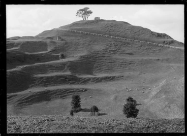 Image: One Tree Hill (Maungakiekie)