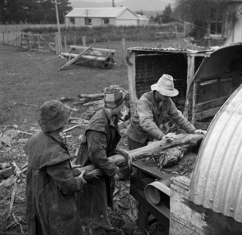 Image: Carol Sladden and June Matthews, of the Women's Land Service, helping farmer Bob McKenzie to saw manuka firewood