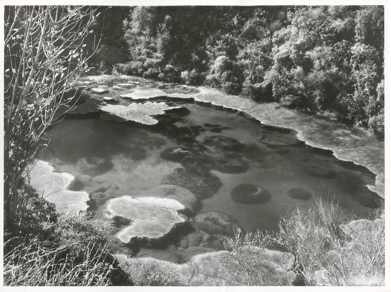 Image: Waimangu Thermal Valley.