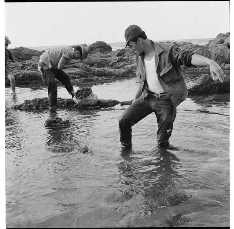 Image: Gathering seafood, and ploughing paddock near church, Te Kaha