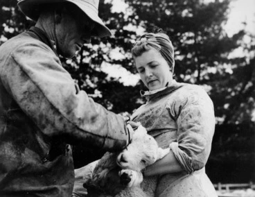 Image: June Matthews, of the Women's Land Service, helping Bob McKenzie to ear mark a lamb