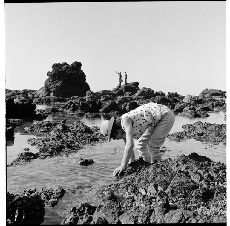 Image: Gathering kai moana, Te Kaha