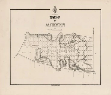 Image: Township of Alfredton / drawn by T.M. Grant ; surveyed by W. Dennan.