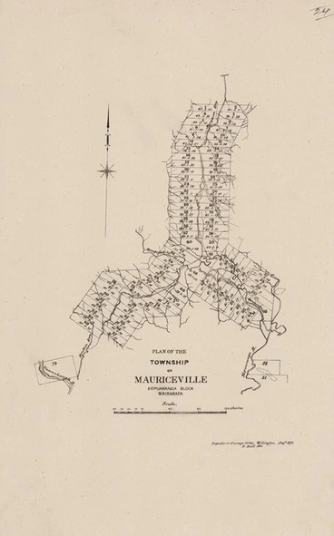 Image: Plan of the township of Mauriceville, Kopuaranga Block, Wairarapa.