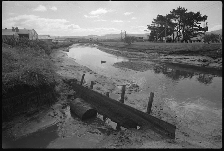 Image: Waiwhetu Stream, Lower Hutt, polluted by industrial waste