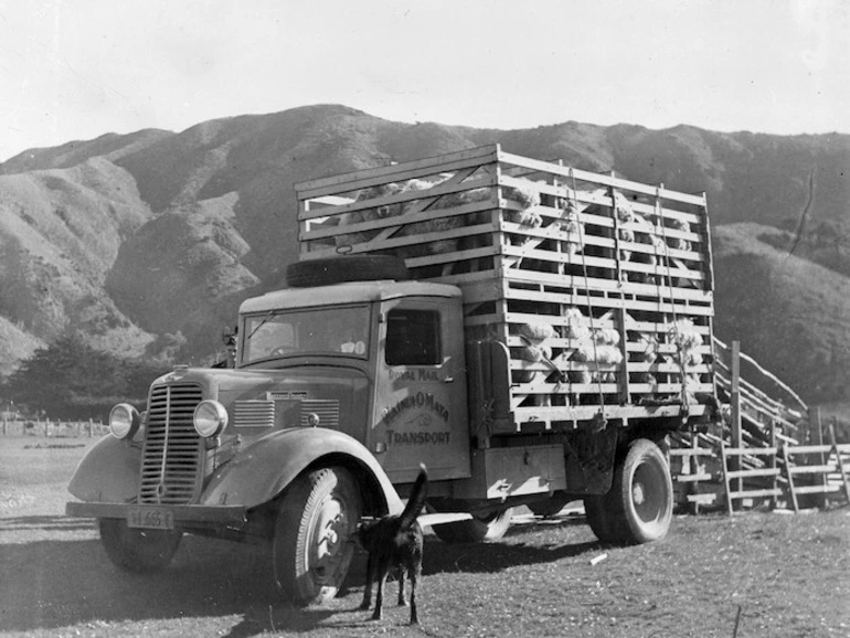 Image: Commer truck carrying sheep, Wainuiomata