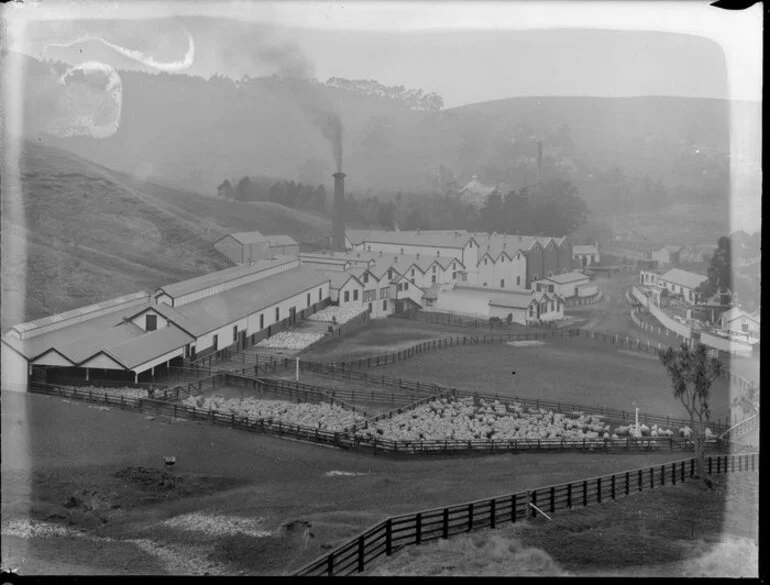 Image: Burnside Freezing works