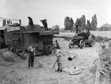 Image: Army members harvesting during World War II