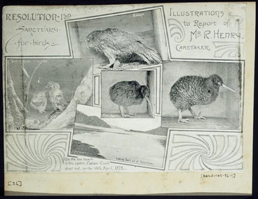 Image: Resolution Island sanctuary for birds; illustrations to report of Mr R Henry, caretaker
