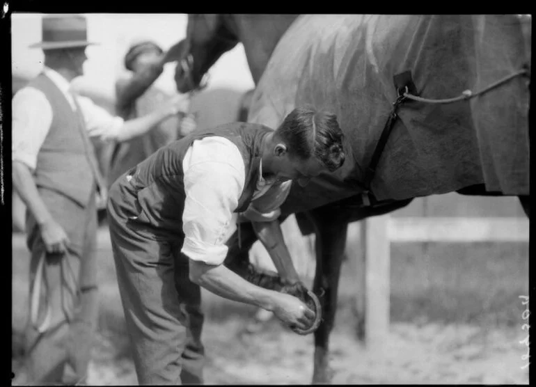 Image: Men inspecting Phar Lap