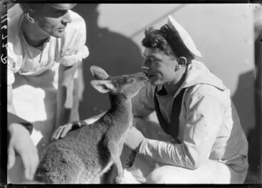 Image: Unidentified sailor kissing wallaby or kangaroo
