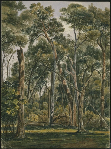 Image: [Smith, William Mein] 1799-1869 :Bush cleared from underwood near Mr Petres, Valley of the Hutt N Z. [Late 1840s or early 1850s]