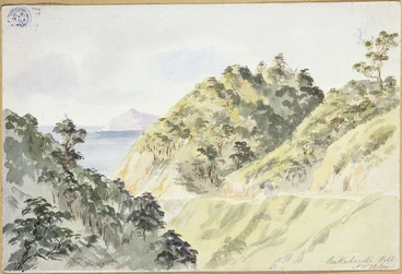 Image: [Barraud, Charles Decimus], 1822-1897 :Paikakariki Hill Nov 22 [18]77.