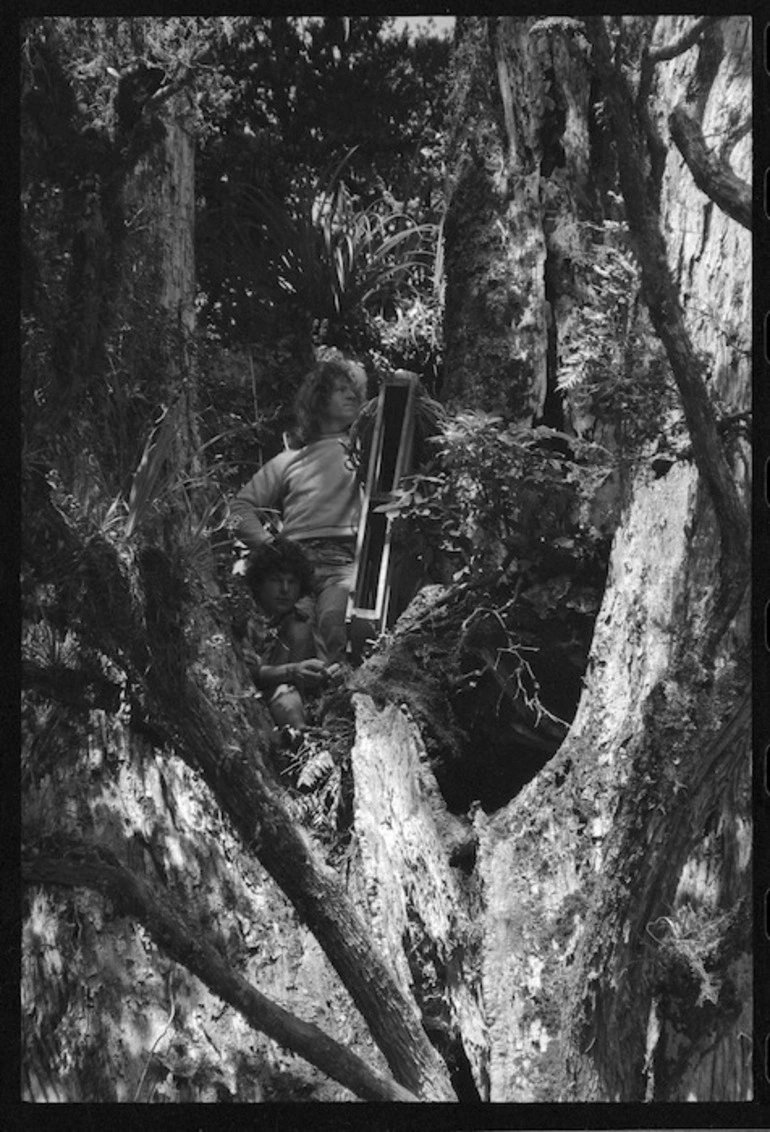 Image: Protestors in tree top in Pureora State Forest Park